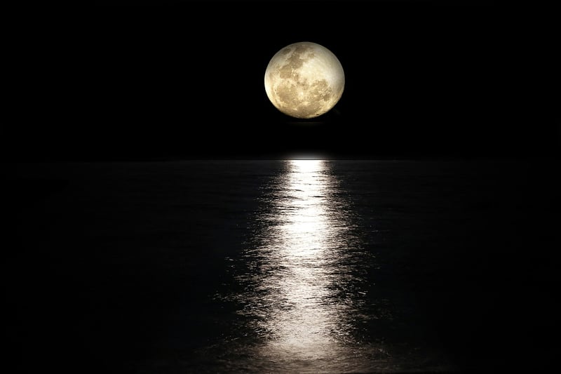 Moonlit Gown
